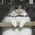 ابو علاء (@mtzywsf4) Twitter profile photo ابو علاء (@mtzywsf4) Twitter profile photo