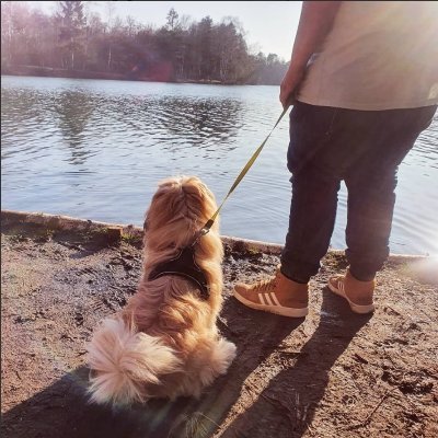 SnjexB's profile picture. https://t.co/iN3IqDDJx1