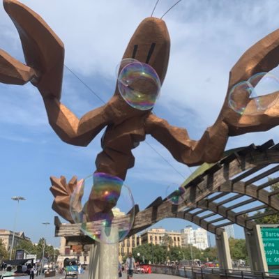 mirror_olly's profile picture. 