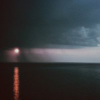 linus02 (@linus021) 's Twitter Profile