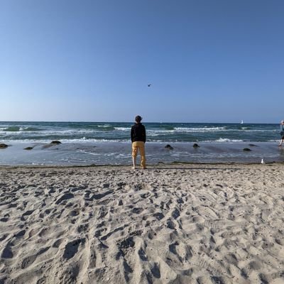 ein_oxymoron's profile picture. Großstadtdschungel und Kleinkindchaos