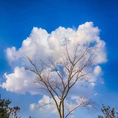 itzRaghu's profile picture. Me .......................