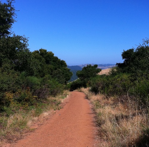 Deanna_L_Green's profile picture. 