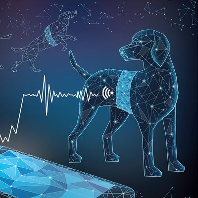As a @guderesearch spin-out, we are developing #wearable real-time sensing systems for monitoring the health and wellbeing of dogs