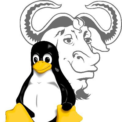 perlishb's profile picture. /dev/null