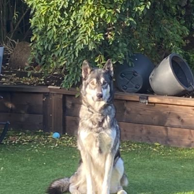 Michael06000952's profile picture. Happy