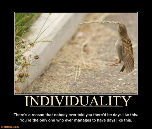 KKUUDDLRLRBASS's profile picture. I've got the code, now how do I find the title screen for the Game Of Life?