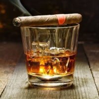 Woodrow Dingus 🏴‍☠️ (@dinguswoodrow) 's Twitter Profile