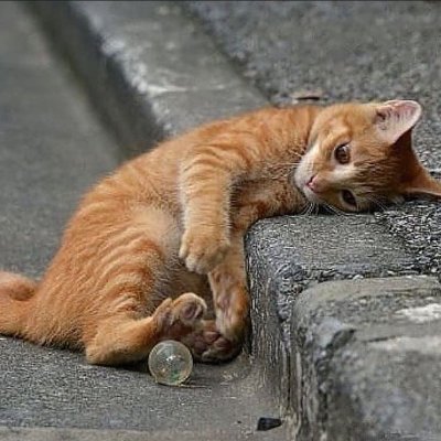 You are brave and quiet.I forget you are suffering!