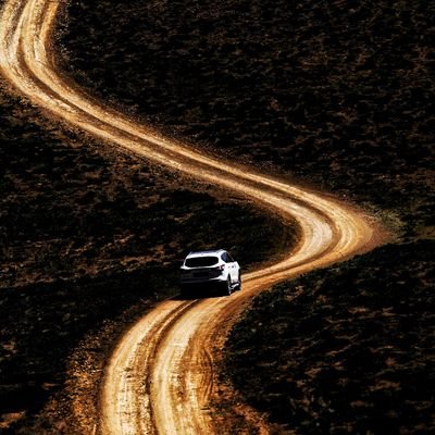 DndrFe's profile picture. 