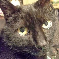 Susan Grout (@sutoo2005) 's Twitter Profile