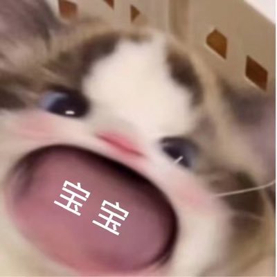 Grace73243's profile picture. sub/🌈les/做梦都想被玩到浑身瘫软