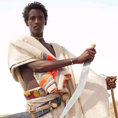 Ali48819959's profile picture. 