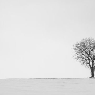 2LHLN's profile picture. ‏لاحول ولا قوة الا بالله