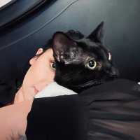 gigilikescats(@gigilikescats) 's Twitter Profile Photo