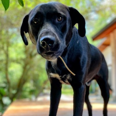 guifav's profile picture. Passionate about technology and the way it changes the world