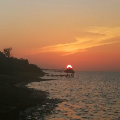 Tonycho120's profile picture. bipas discreto