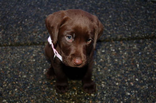 SeanyJ_Eh's profile picture. 