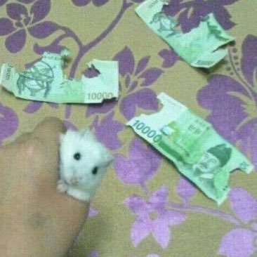 CPNqKt0yZsaAfRc's profile picture. 우마이 ㅠㅡㅠ