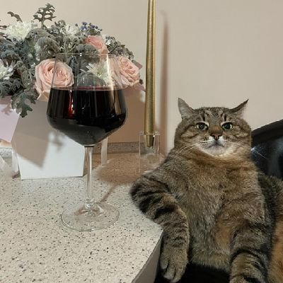 _Nacho_91's profile picture. Ingeniero Electrónico || Me gustan los gatos