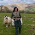 Alison O’Neill ~ Shepherdess (@woolismybread) Twitter profile photo
