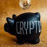 ccHODLing's profile picture. Side project to trade, exchange, and HODL various digital assets