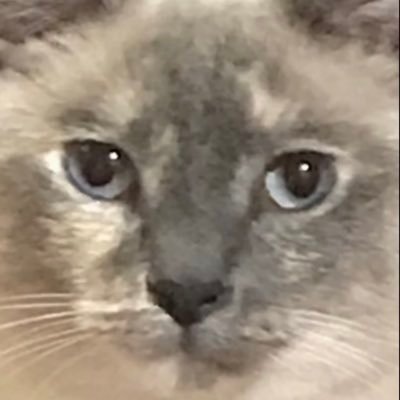 Amauta09's profile picture. 