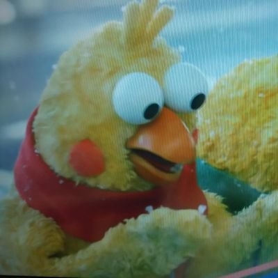 ろろこさんのプロフィール画像
