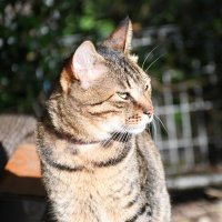 w.crew (@webcrew123) Twitter profile photo