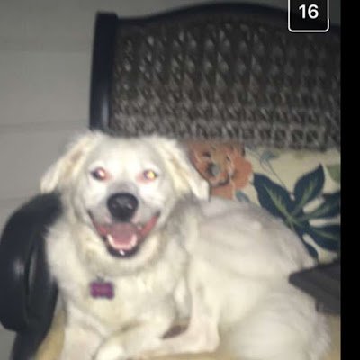 Inmatt19025's profile picture. 