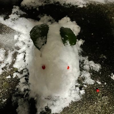 ChickenkatuS's profile picture. 2025年目標:情報安全確保支援士、CISSP取得、AWS資格1つ取得、本業で年収100万あげる、副業での合計収入100万/年、微マッチョになる