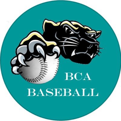 baseball_bca Profile Picture