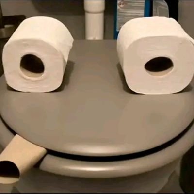 KemaNuti's profile picture. Las flores que se riegan todos los días nunca se marchitarán 💐