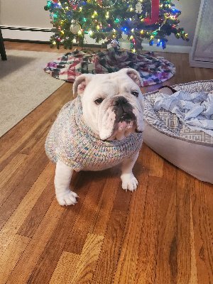 JerseyGirl0306's profile picture. 