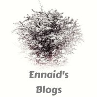 Ennaids Blog(@Ennaidblogs) 's Twitter Profileg