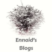 Ennaids Blog (@ennaidblogs) 's Twitter Profile