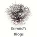 Ennaids Blog (@Ennaidblogs) Twitter profile photo