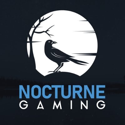 NoctGamingCo Profile Picture