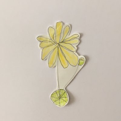 acoton2650's profile picture. 今の世の中の『違和感』の中でたくさんの『気づき』をいただき、反応しつつ、いろいろと感じ、思い、考えながらの日々。