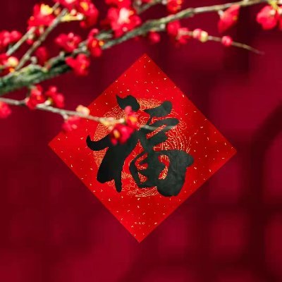 dragonlumeng's profile picture. dragon doctor