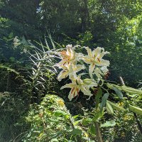 ひろし (@eywzm6w0il9djpr) 's Twitter Profile