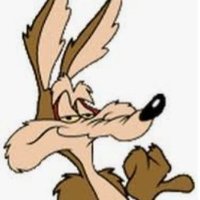 Poke the bear (@movementfull) 's Twitter Profile