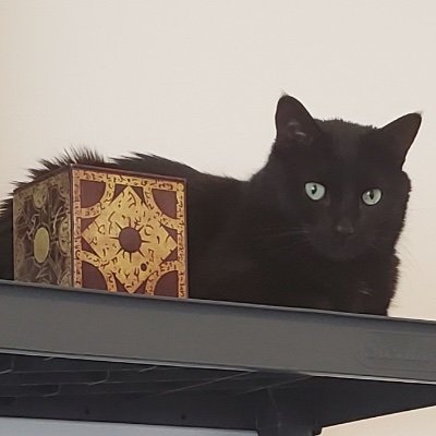 djspartacus1972's profile picture. I love lamp