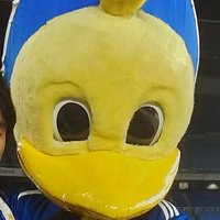 かもめTV (@kamome_tv) 's Twitter Profile Photo