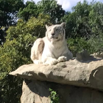 07trackdriver's profile picture. 普段、大型トラックドライバーしてます！