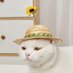 goldarcane (@sunand_flowers) Twitter profile photo goldarcane (@sunand_flowers) Twitter profile photo