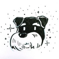 nøm (@coolmanpjh) 's Twitter Profile