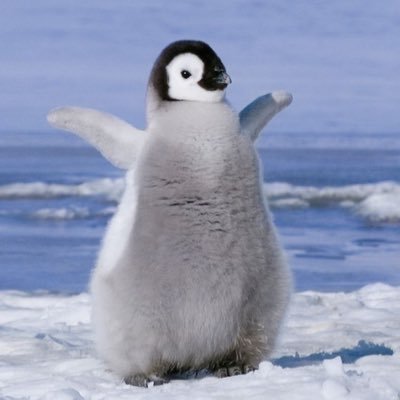 truckscrapwell's profile picture. 