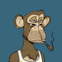 BAYC7516.eth (@ape7516) 's Twitter Profile Photo BAYC7516.eth (@ape7516) 's Twitter Profile Photo