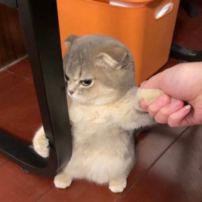 tuann321999's profile picture. 